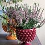 Objets de décoration - Vase Pinecone Bowl - AGATA TREASURES