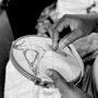 Torchons textile - Torchons de cuisine oiseaux marins - KISANY