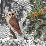 Wallpaper - Owl and Jungle Wallpaper  - INCREATION