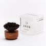 Gifts - Essentiel oil diffuser- Carnation flower - ANOQ