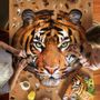 Children's arts and crafts - I AM Puzzle Poster Size: TIGER - MADD CAPP