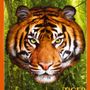 Children's arts and crafts - I AM Puzzle Poster Size: TIGER - MADD CAPP