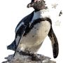 Children's arts and crafts - I AM Lil' Puzzle Jr.: PENGUIN - MADD CAPP