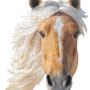 Children's arts and crafts - I AM 300 Puzzle: HORSE - MADD CAPP