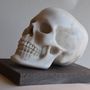 Sculptures, statuettes and miniatures - Marble Skull - TODINI SCULTURE