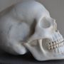 Sculptures, statuettes et miniatures - Crâne de marbre - TODINI SCULTURE