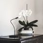 Table lamps - Table Lamp D02 - OLIVELAB