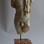 Sculptures, statuettes et miniatures - Torse masculin avec drapè - TODINI SCULTURE
