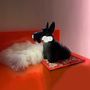 Design objects - SCOTTIE table lamp - QEEBOO