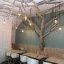 Objets de décoration - arbre en bois flotte - DECO-NATURE