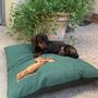 Fabric cushions - Milo cushion for dog “la biche” - 70x70cm - L'ATELIER DES CREATEURS