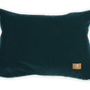 Fabric cushions - Jamra Aqua Bani Cushion Set - DESIGN BY ART SELECT
