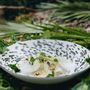 Assiettes au quotidien - Assiette coupe Rainforest verte métallisée en céramique noire - REVOL
