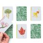 Gifts - Tree Families: A Botanical Card Game - LAURENCE KING PUBLISHING LTD.