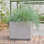 Pottery - TOUGH outdoor cement pot - D&M DECO