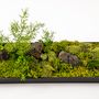 Design objects - Moss Garden (G-1) - FUJIGOKE