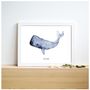 Poster - A5 poster - Whale - BLEU COQUILLE