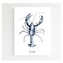 Poster - Poster 30x40 - Blue Lobster - BLEU COQUILLE