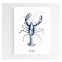 Affiches - Affiche 30x40 - Homard Bleu - BLEU COQUILLE