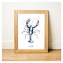 Poster - Poster 30x40 - Blue Lobster - BLEU COQUILLE