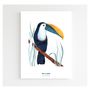 Poster - Poster 30x40 - The Blue Toucan - BLEU COQUILLE