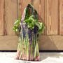 Homewear - Vegetable bag - Asparagus bag - MARON BOUILLIE