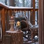 Objets de décoration - Cabin In The Woods - J-LINE BY JOLIPA