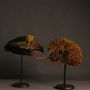 Unique pieces - Masks Tropical Birds from the rainforest - ETHIC & TROPIC CORINNE BALLY