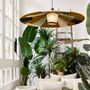 Hanging lights - PARROT pendant lamp - FORESTIER