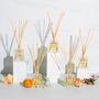 Scent diffusers - Love Potion Reed Diffuser - BROOKLYN CANDLE STUDIO