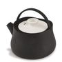 Kitchen utensils - Tetsubin tea kettle 1 l - BEKA