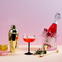 Wine accessories - Cocktail set 3 - MISS ÉTOILE