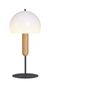 Table lamps - MAD table lamp in polycarbonate - LUXCAMBRA