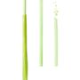Cutlery set - Lime flavour edible, compostable and biodegradable straws - SWITCH EAT