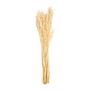 Floral decoration - Natural dried white flower Avena. 100 gr, 80 cm AX71138 - ANDREA HOUSE