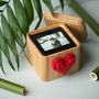 Other smart objects - Lovebox Color & Photo - LOVEBOX