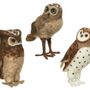 Decorative objects - WOOL OWLS 21 CM - PROFLOR