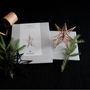 Other Christmas decorations - STAR Christmas decoration and Tree topper - VALONA