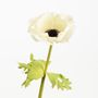 Floral decoration - Anemone - LOU DE CASTELLANE - artificial plants and flowers - LOU DE CASTELLANE