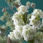 Décorations florales - Giroflée - LOU DE CASTELLANE - plantes et fleurs artificielles - LOU DE CASTELLANE