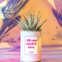 Gifts - Customisable detox plant - All you need is love - STYLEY