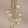 Ceiling lights - Sienna Chandelier - VENZON LIGHTING & OBJECTS