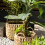 Baskets - Set of 2 water hyacinth grass baskets; Ø37x34 cm / Ø30x30 cm AX21505 - ANDREA HOUSE