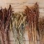 Floral decoration - Natural dried white flower Avena. 100 gr, 80 cm AX71138 - ANDREA HOUSE