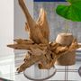 Unique pieces - CEBU HOMECRAFT Driftwood Planter - DESIGN PHILIPPINES OBJECTS