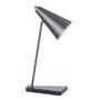 Lampes de bureau  - Lampe de bureau Henley Gunmetal Finish - RV  ASTLEY LTD