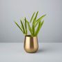 Vases - Satin gold sloped vases Selene - BE HOME