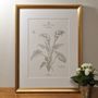 Poster - Art Print White Arum - L'ATELIER LETTERPRESS