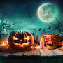 Décor de fête pour enfant - Corbeille halloween trick treat - ORIGINAL MARRAKECH