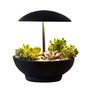 Desk lamps - Garden I Table Lamp - GEO LUZ & CÉRAMIQUE